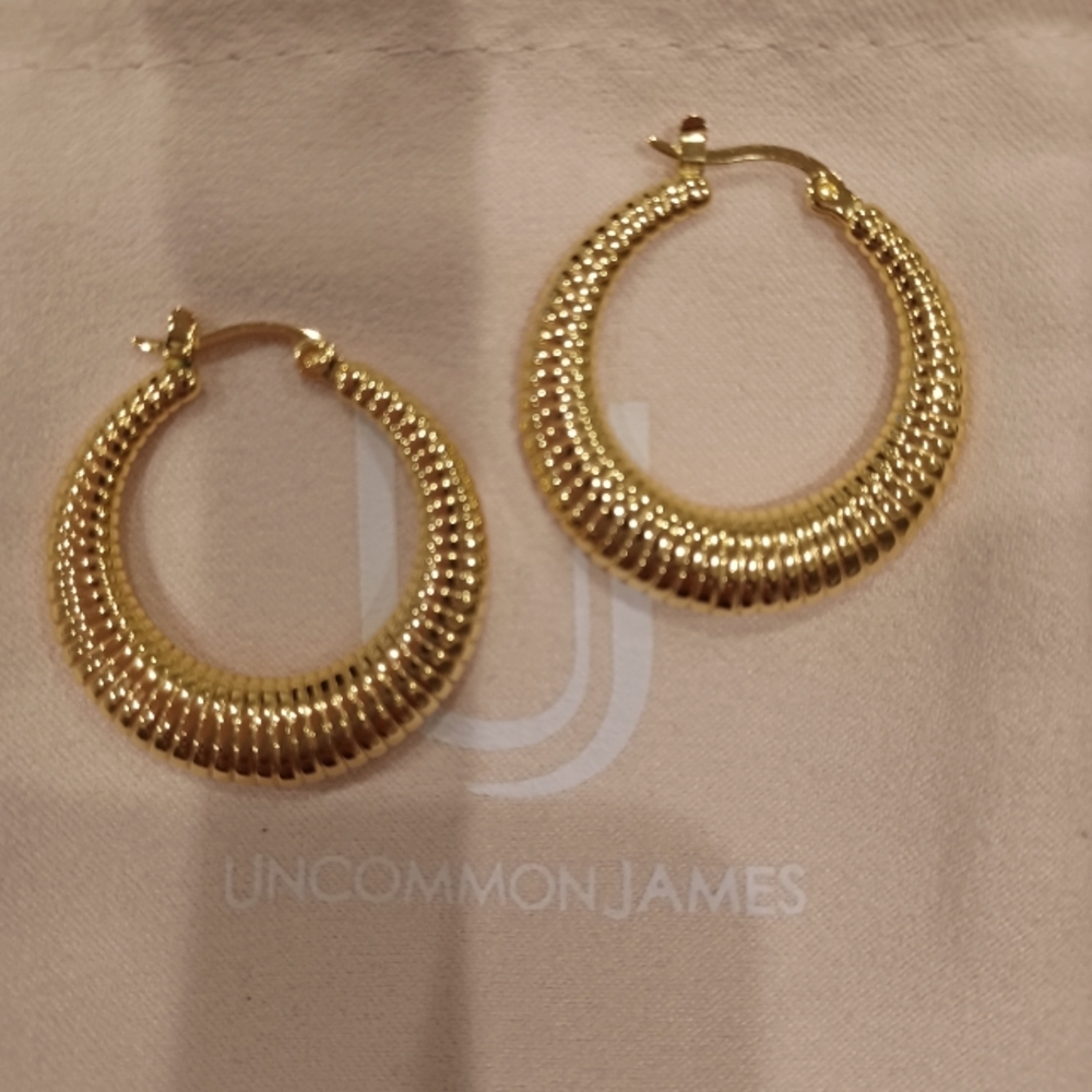 Uncommon James Beach Hoops ⛱